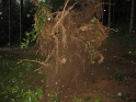 bild (4)